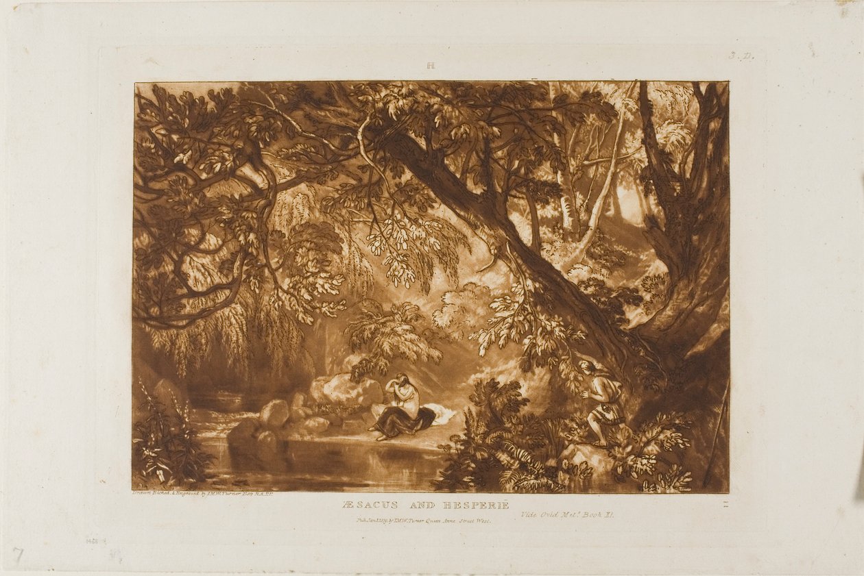 Esaco e Esperie, tavola 66 da Liber Studiorum da Joseph Mallord William Turner