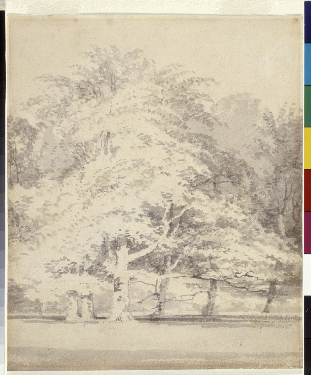 Faggi da Joseph Mallord William Turner