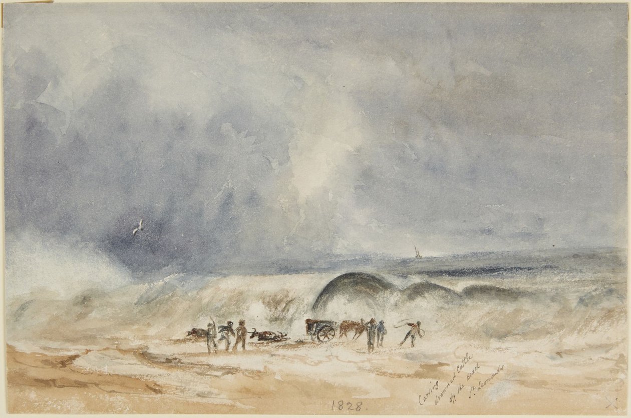 Rimozione dalla spiaggia dei capi di bestiame annegati, St. Leonards da Joseph Mallord William Turner