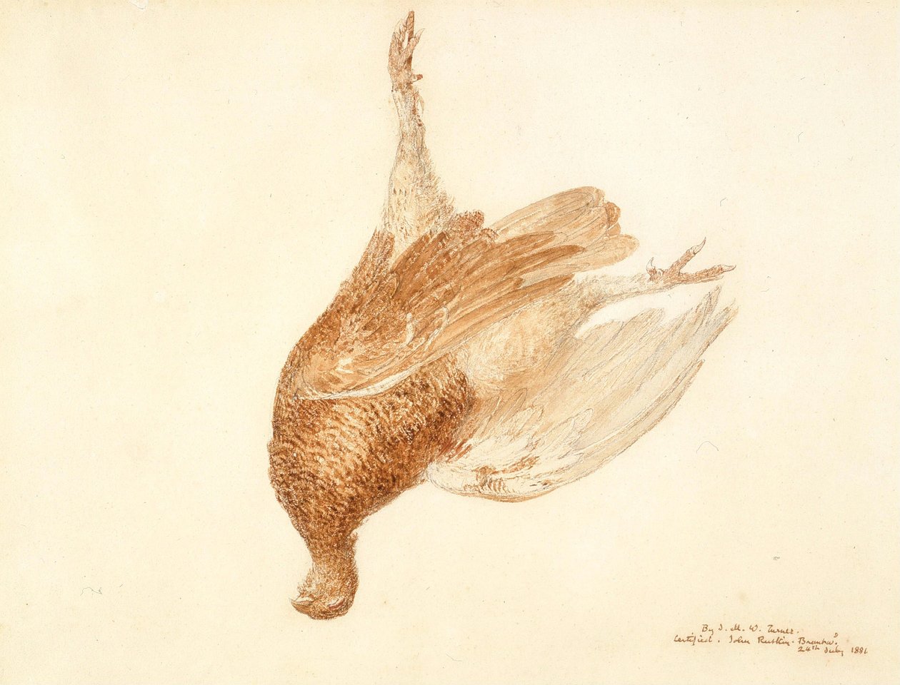 Gallo cedrone morto da Joseph Mallord William Turner