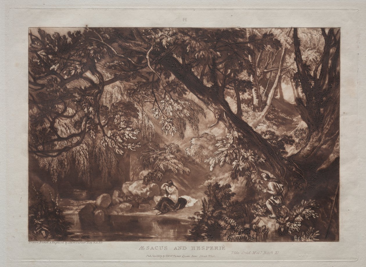 Liber Studiorum: Esaco e Esperia da Joseph Mallord William Turner