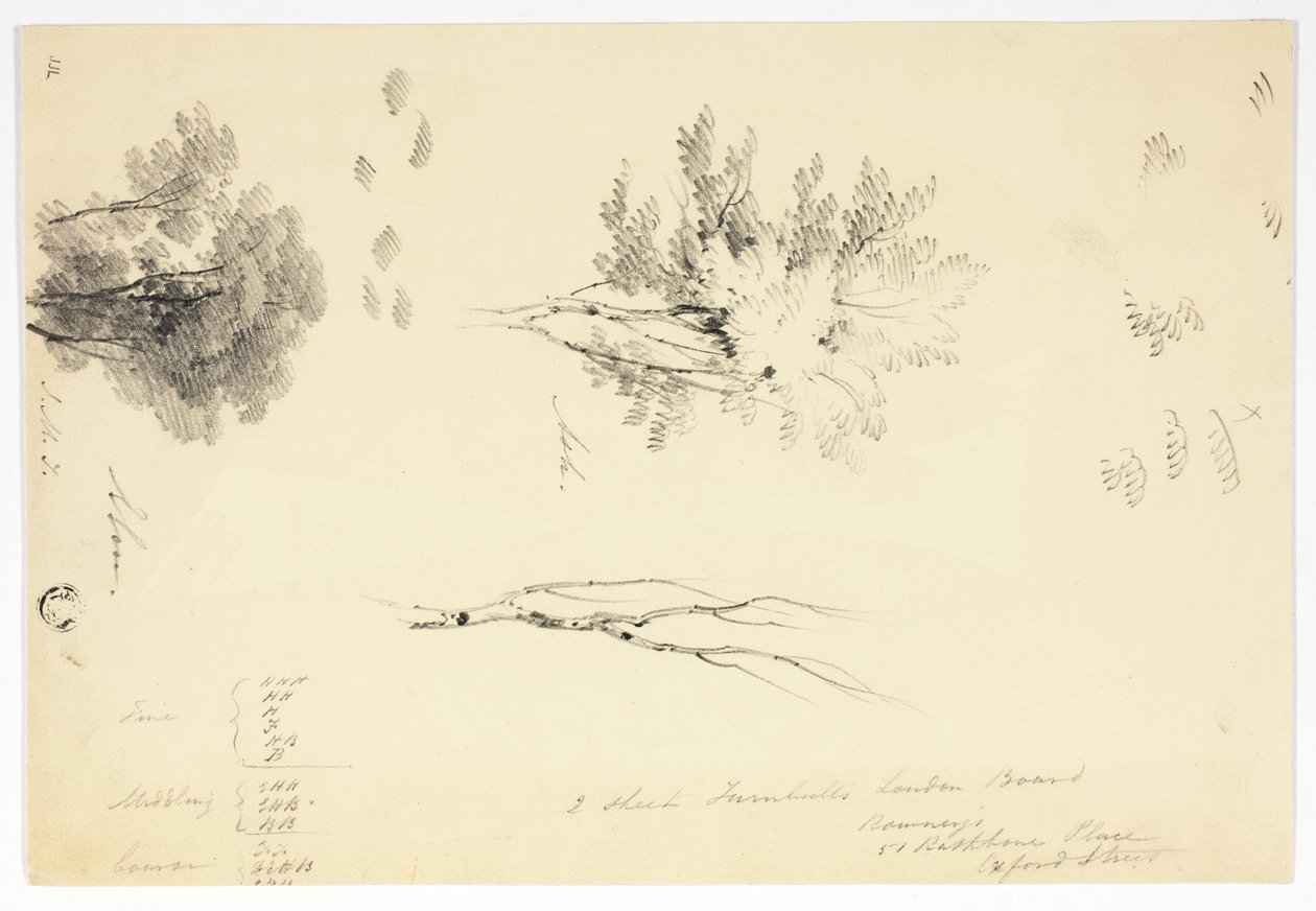Schizzi di olmi e frassini da Joseph Mallord William Turner