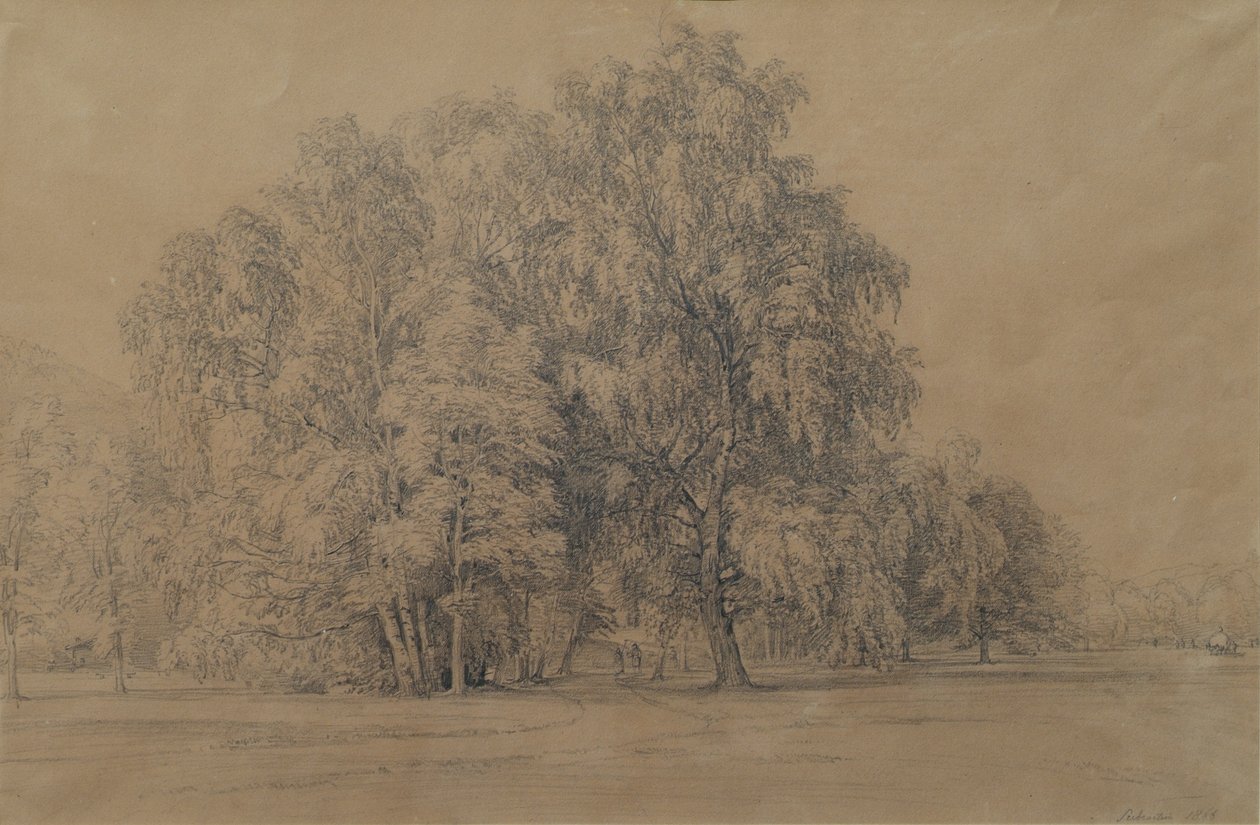 Gruppo di betulle nel parco del castello di Seebenstein in Bassa Austria da Joseph Martin Höger
