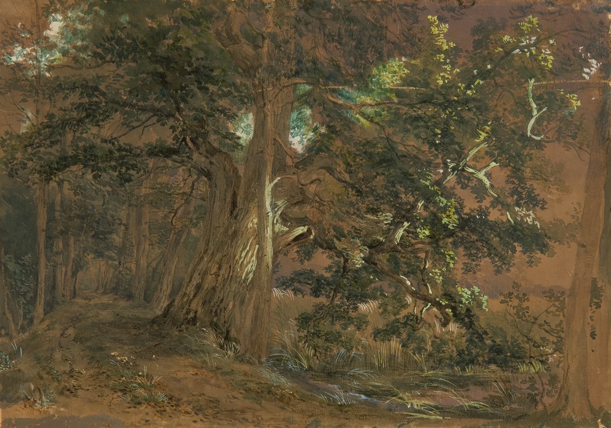 Interno di bosco vicino a Lundenburg (gruppo di aceri su un lago di montagna) da Joseph Martin Höger