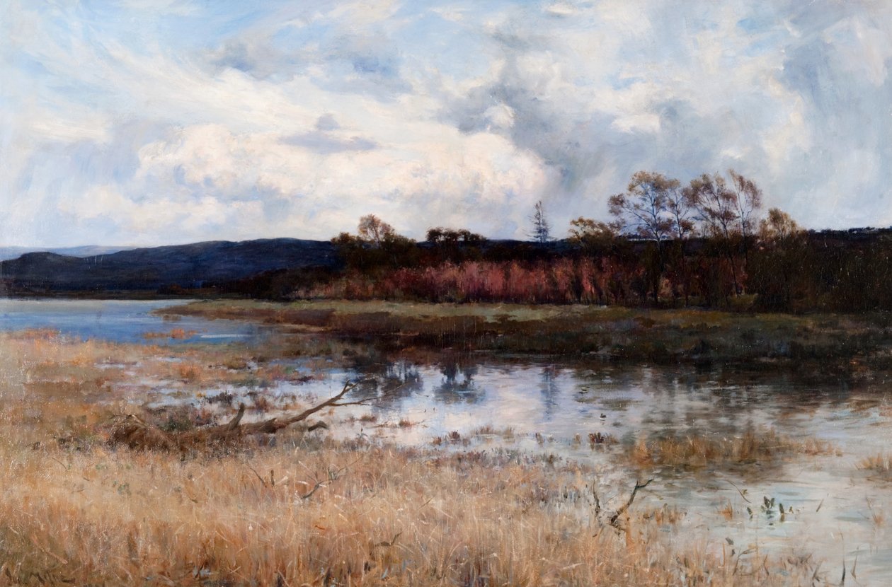 Tay Backwater, Kinfauns, Perthshire da Joseph Milne