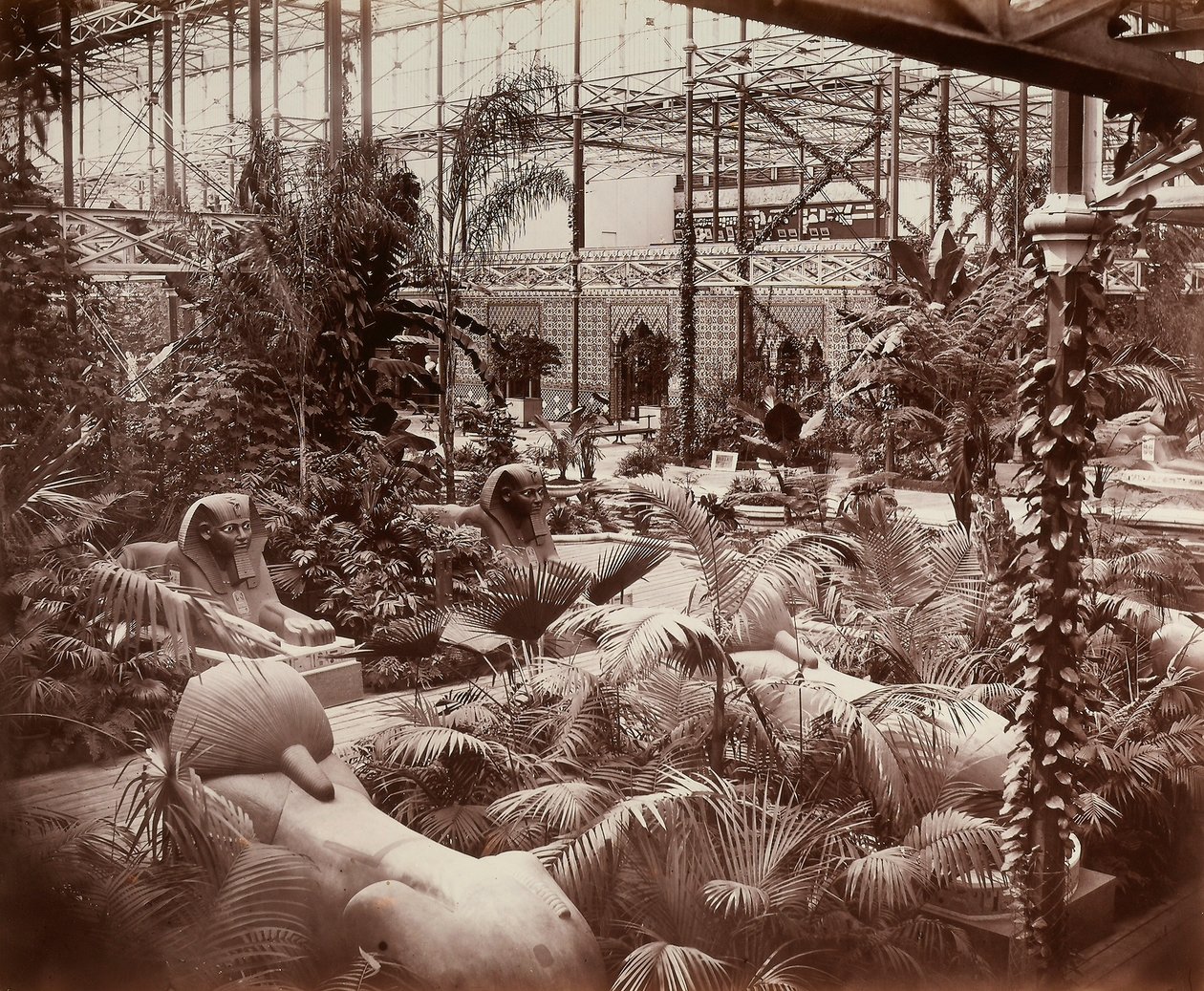 Il Crystal Palace a Londra: la sezione tropicale, c.1870 da Joseph Paxton