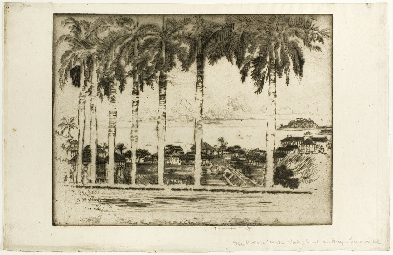 Passeggiata dei vescovi, Ancon Hill, Panama da Joseph Pennell