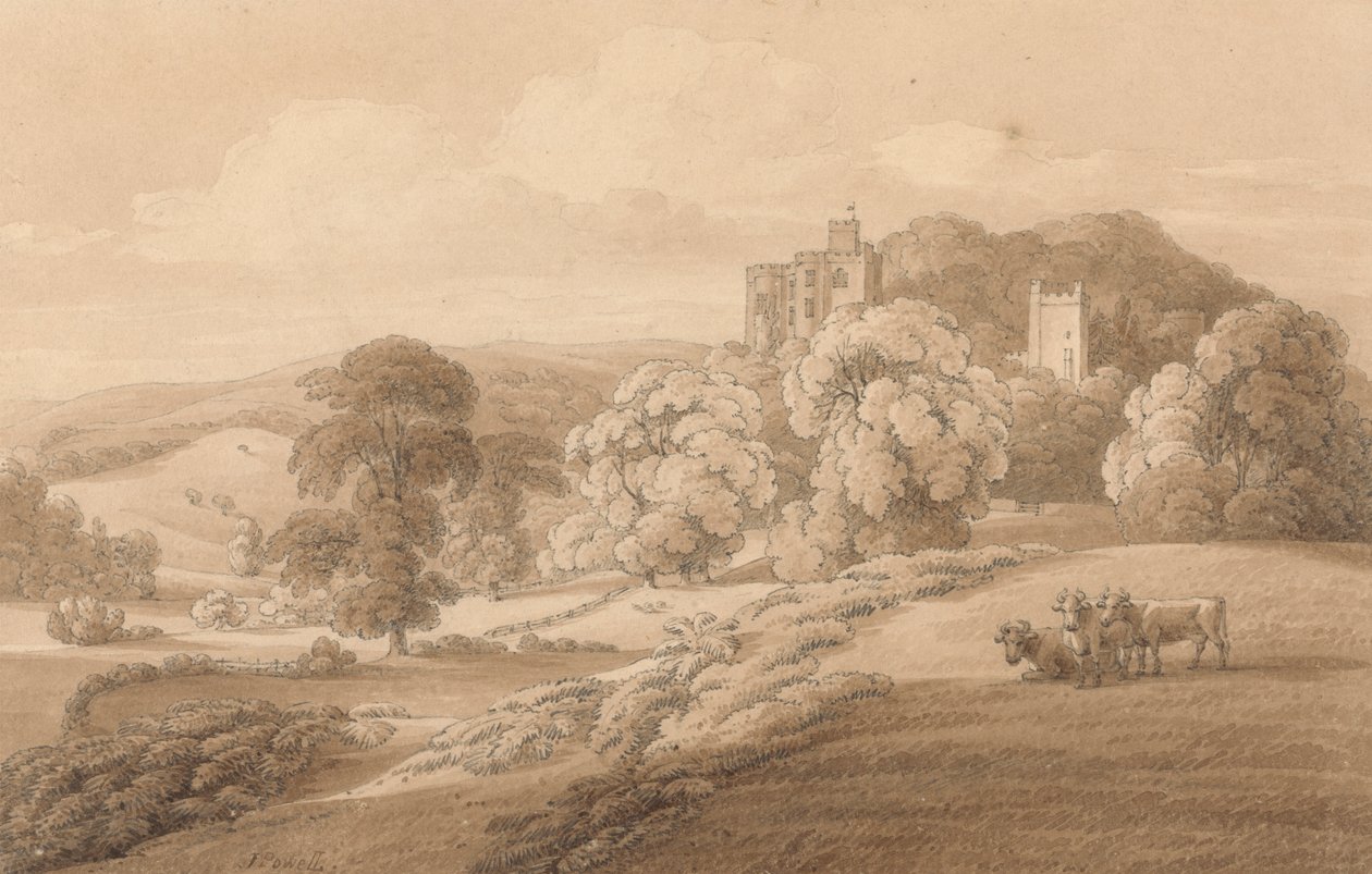 Castello di Dunster, Somerset da Joseph Powell