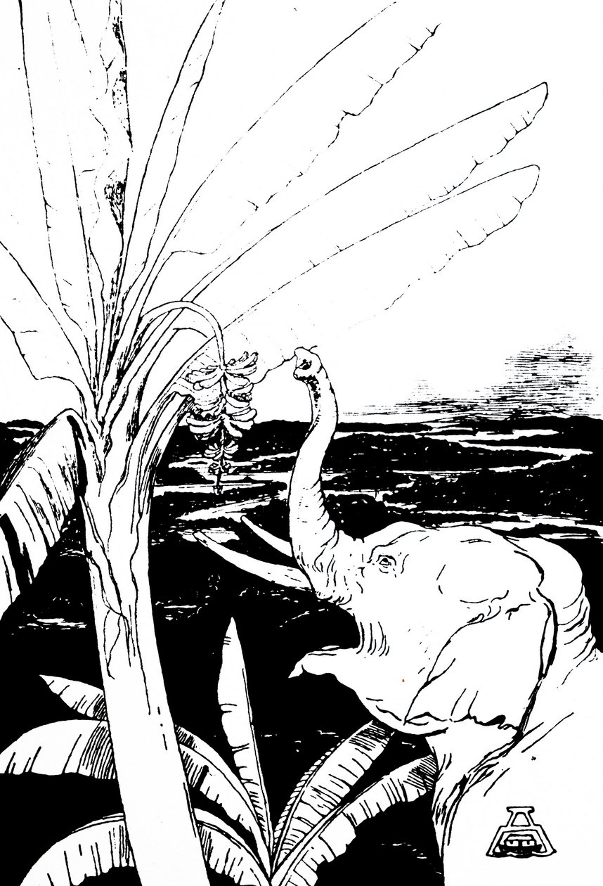 Illustrazione di un elefante di Kipling (incisione) da Joseph Rudyard Kipling