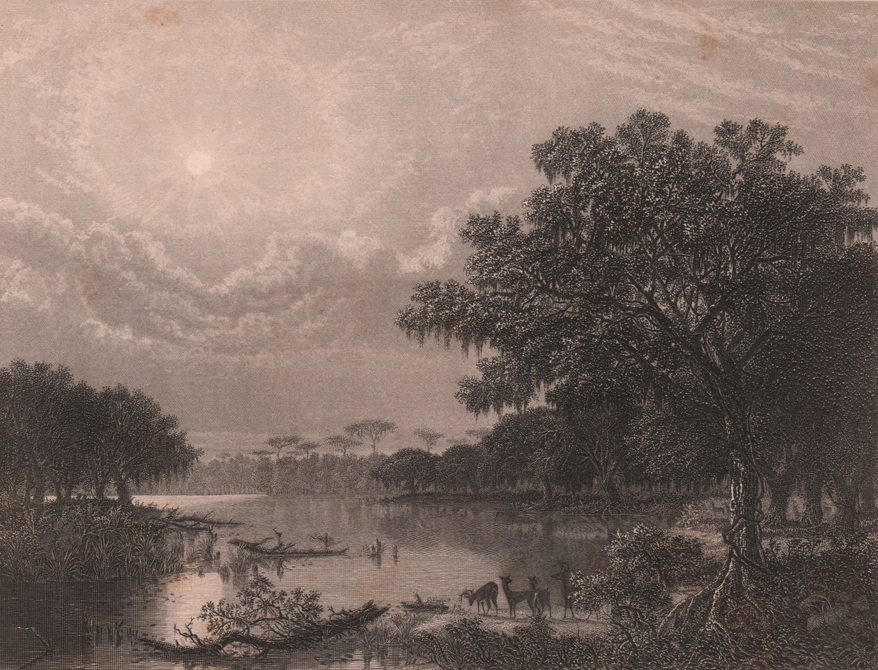 Louisiana Bayou, Stati Uniti, incisione su acciaio di Robert Hinshelwood dopo un dipinto di Joseph Rusling Meeker da Joseph Rusling Meeker