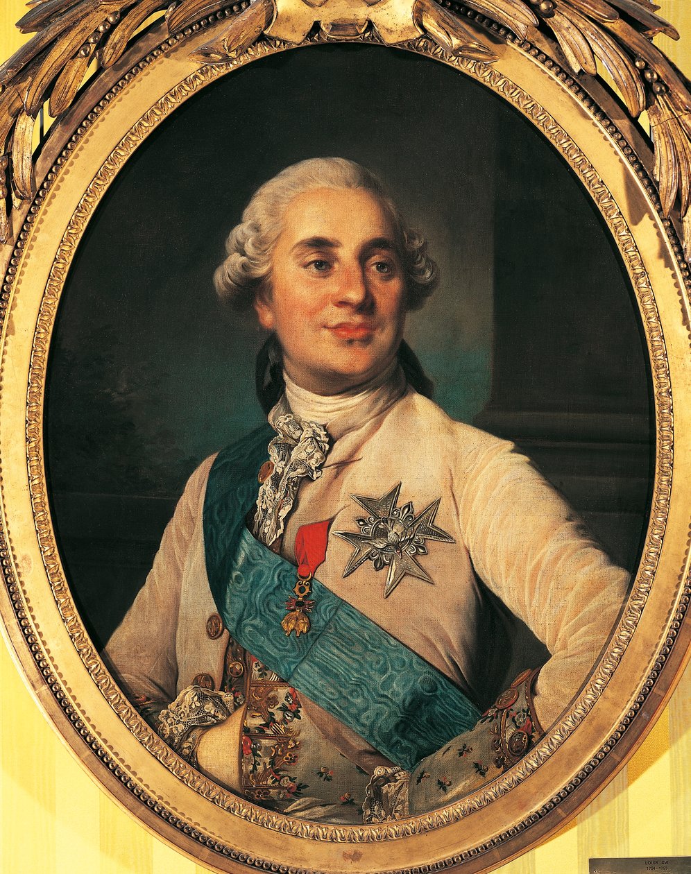 Ritratto di Luigi XV di Francia, noto come il Benamato da Joseph Siffred Duplessis