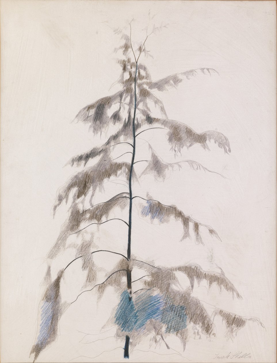 Pine Tree da Joseph Stella