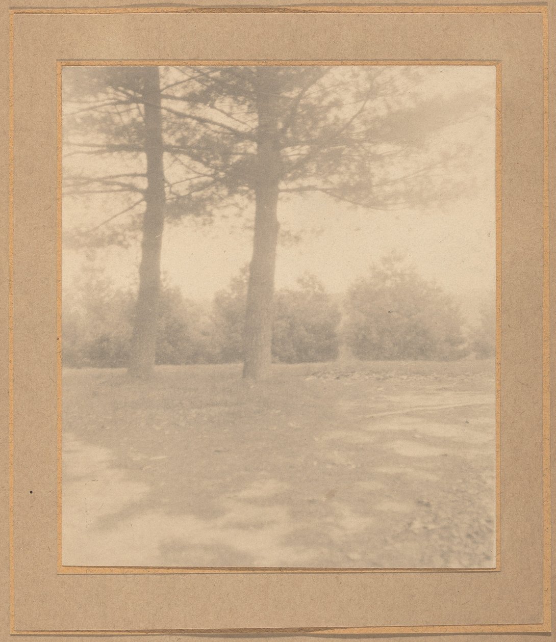 Paesaggio con alberi da Joseph T. Keiley