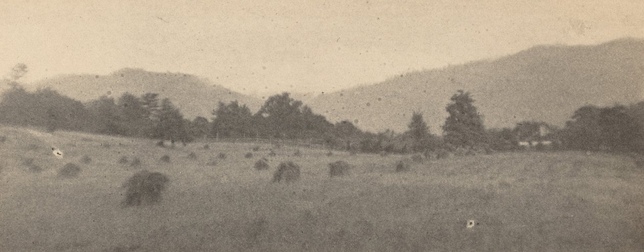 Paesaggio con alberi e montagne, c. 1900 (foto) da Joseph T. Keiley