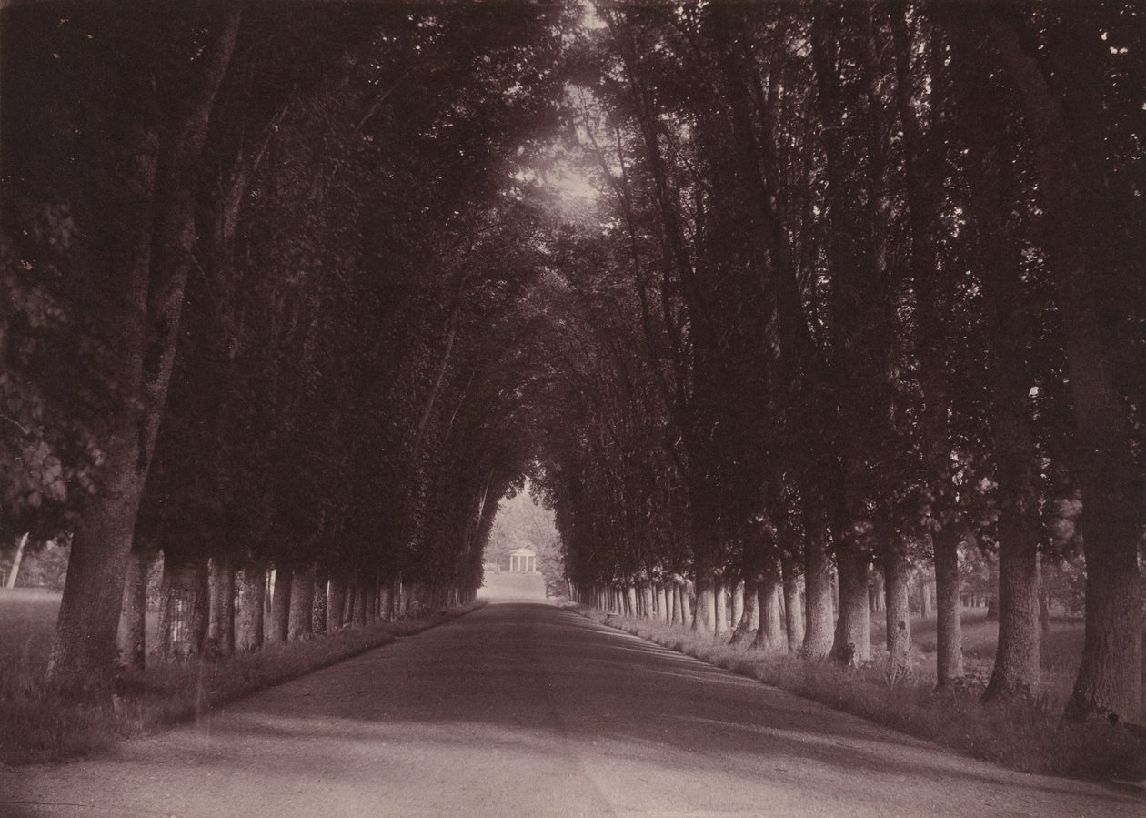 Vialetto, Château de Grand-Vaux, Savigny-sur-Orge, casa della famiglia Vigier, 1855 circa (foto) da Joseph Vigier