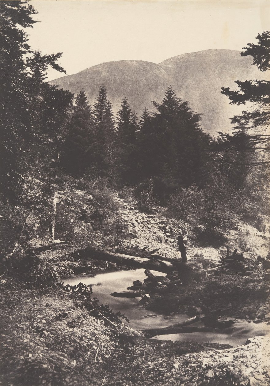 Torrent de la cascade des Demoiselles, Bagnères de Luchon, 1853 da Joseph Vigier