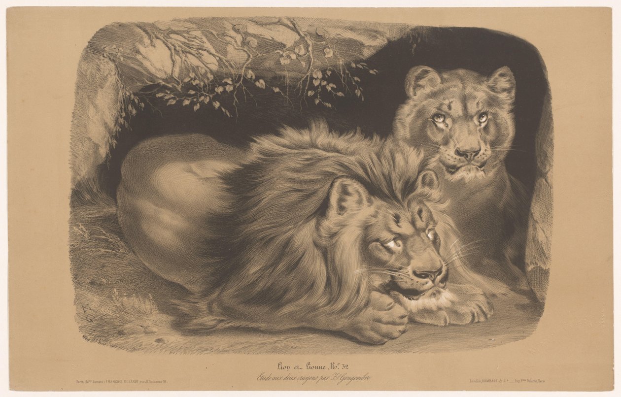 Leone e leonessa da Joseph Zephyris Gengembre