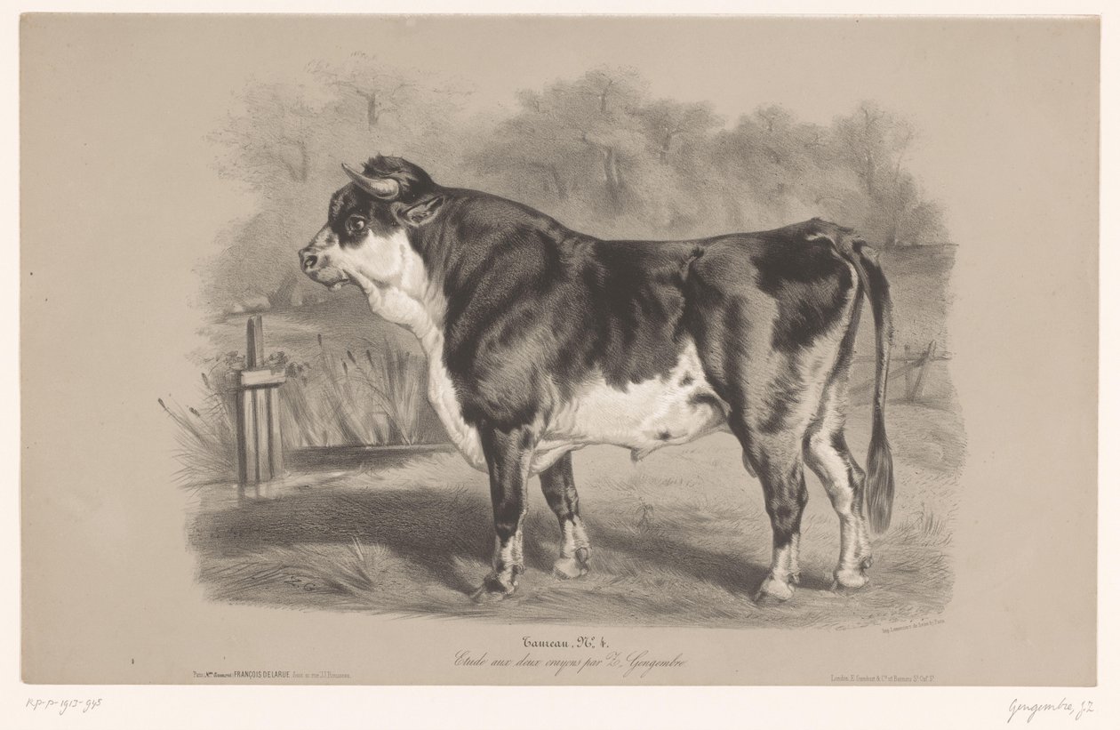 Toro in un prato da Joseph Zephyris Gengembre