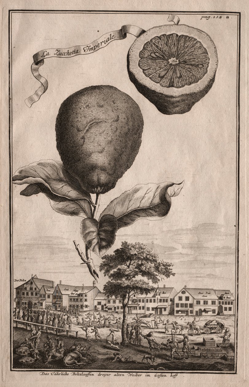 Nurnbergische Hesperides: La Luchetta Imoperiale da Joseph de Montalegre