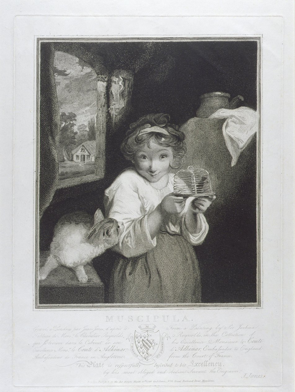 Muscipula, inciso da John Jones (c.1745-97) 1786 da Joshua Reynolds