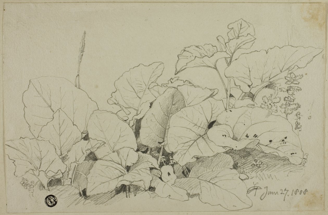 Gruppo di foglie e fiori da Joshua Cristall