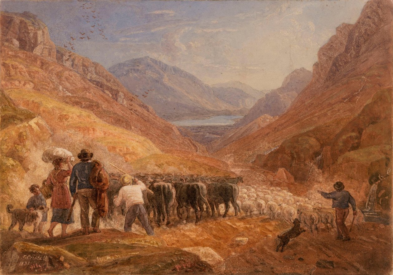 Pastori che conducono bovini e pecore attraverso il passo di Tal-y-Llyn, Galles da Joshua Cristall