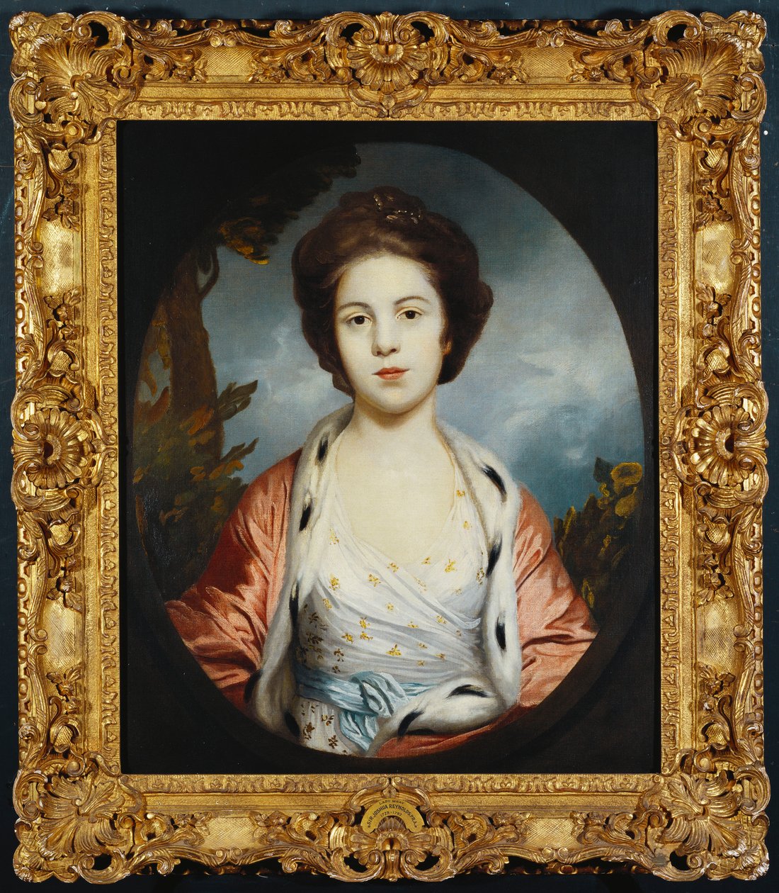 Ritratto di Esther, Lady Wray, con un vestito bianco, un mantello d