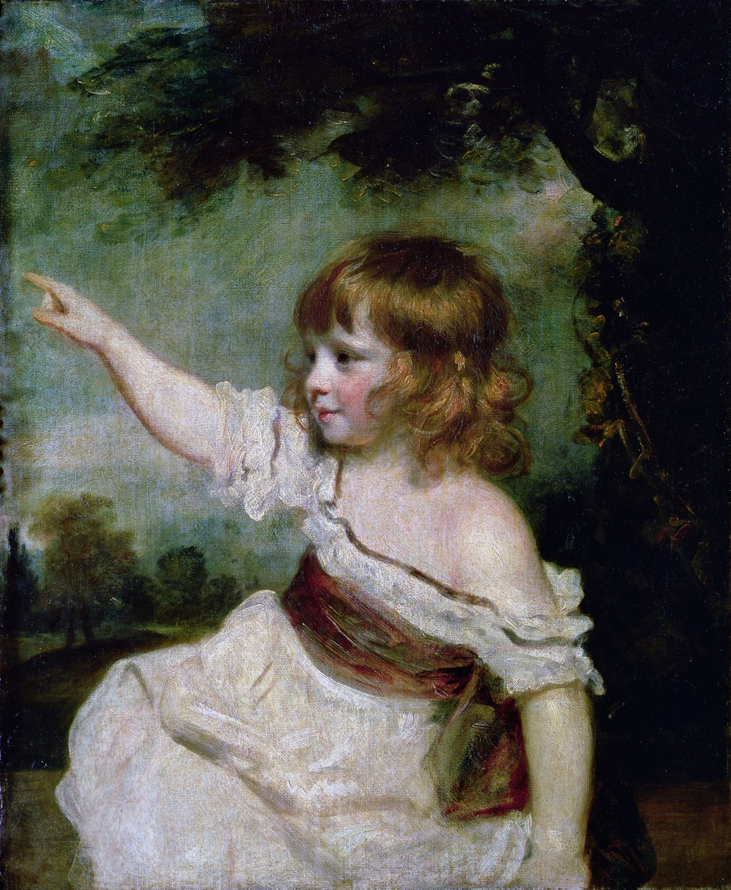 Ritratto di Francis George Hare, figlio maggiore di Francis Hare Naylor (1753-1815) 1788-9 da Joshua Reynolds