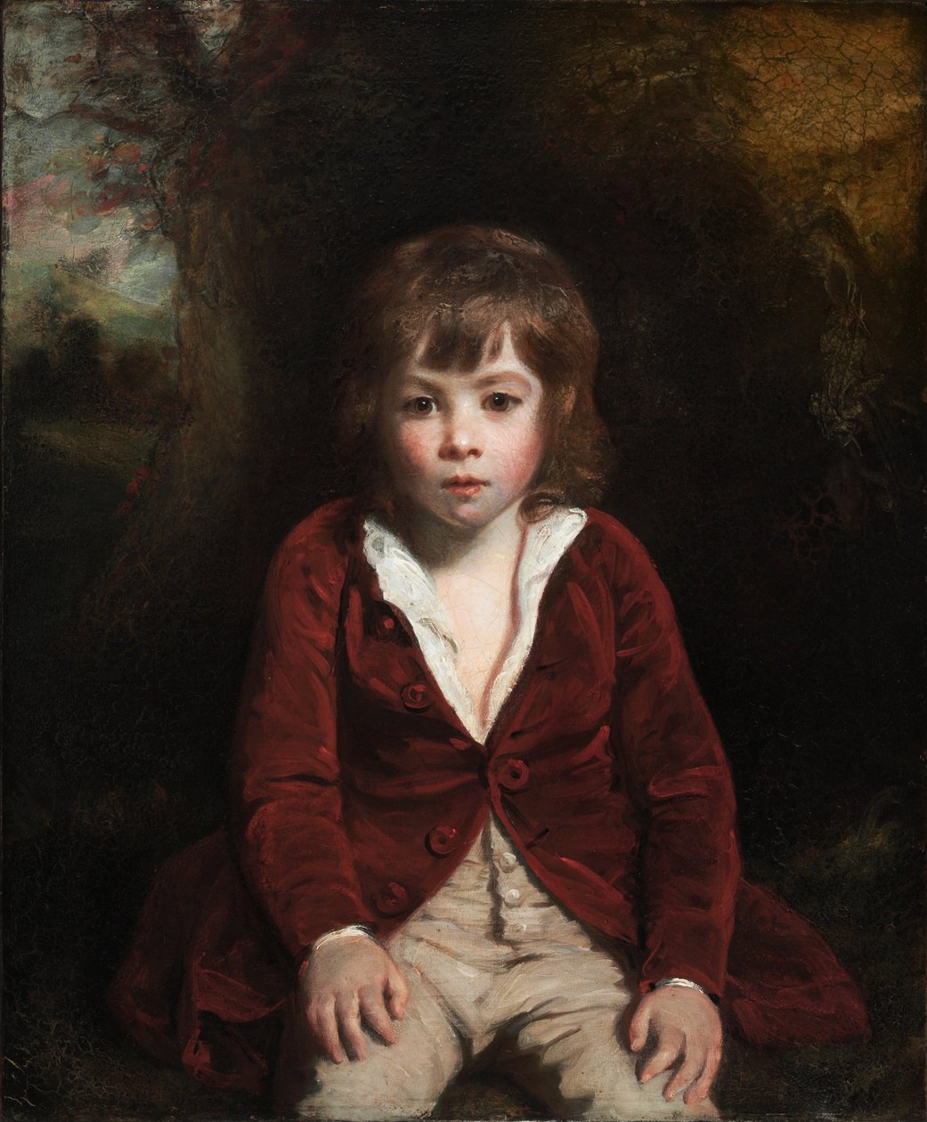 Ritratto del giovane Bunbury da Joshua Reynolds