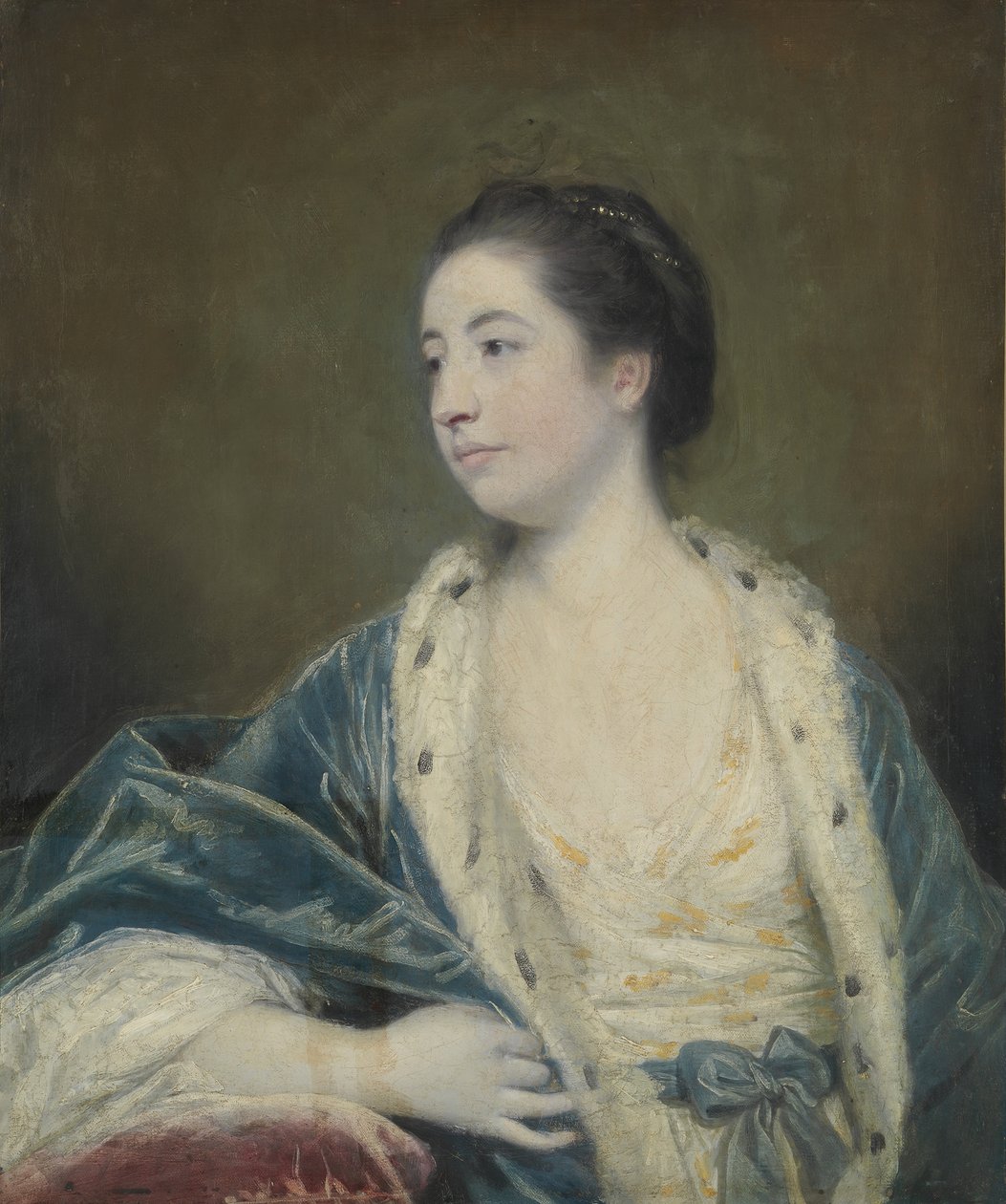 Ritratto di una donna da Joshua Reynolds