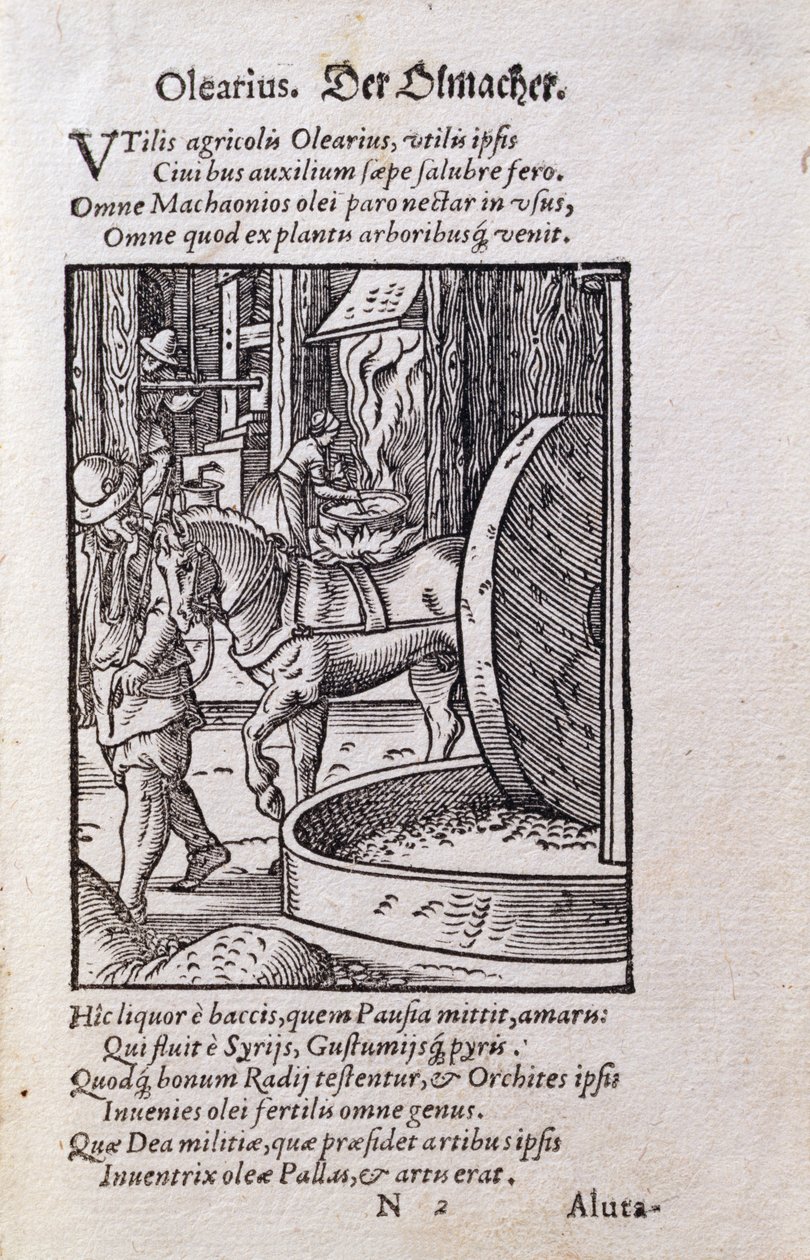 Produttore di olio, illustrazione dall