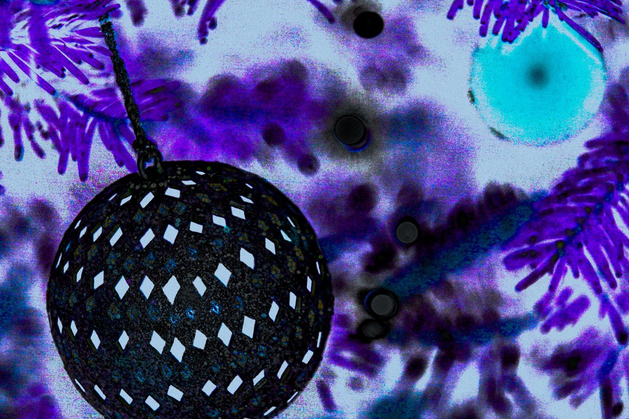 Ball Ornament, dalla serie The Christmas Tree, 2015 (fotografia ridipinta) da Joy Lions