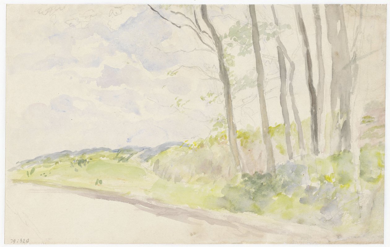 Gruppo di alberi lungo una strada da Jozef Israëls