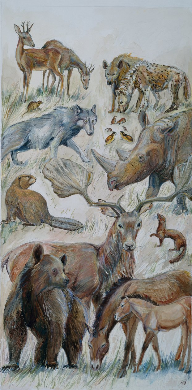 Animali di Boxgrove identificati dallo scavo (acquerello su carta) da Judith Dobie