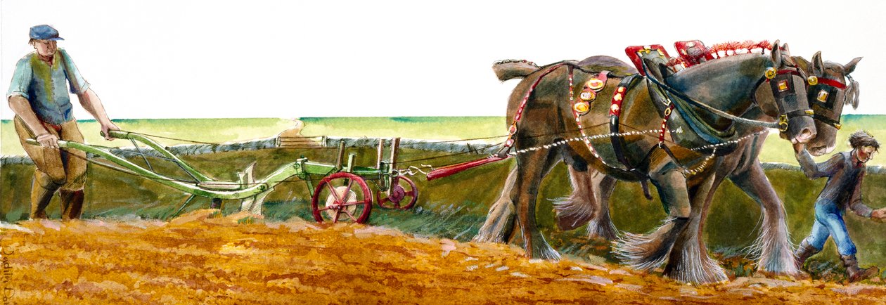 Aratura, c. 1830-1900, c. 1990-2010 da Judith Dobie