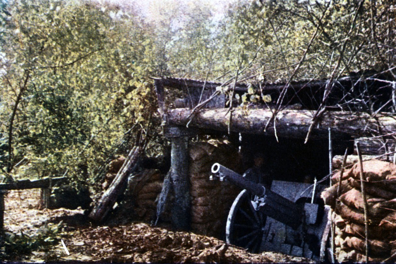 Un cannone francese da 75 mm camuffato sotto gli alberi durante la Battaglia di Verdun, settembre 1916 da Jules Gervais Courtellemont