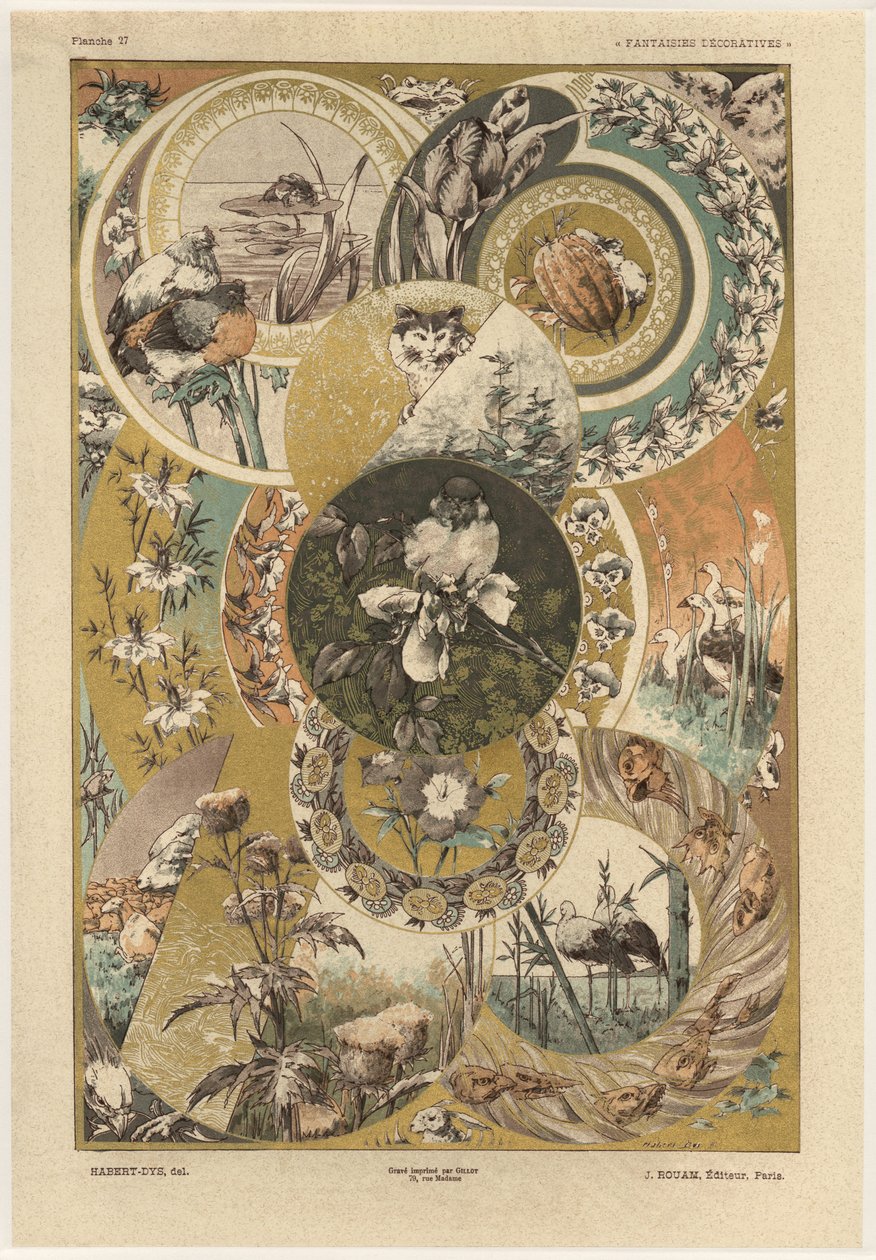Cerchi, tavola 27 da 