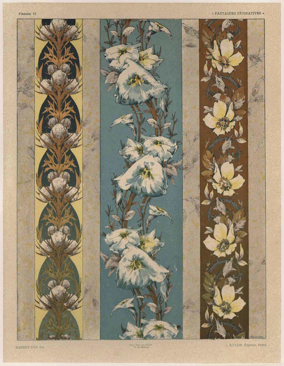 Fiori, tavola 18, illustrazione da 