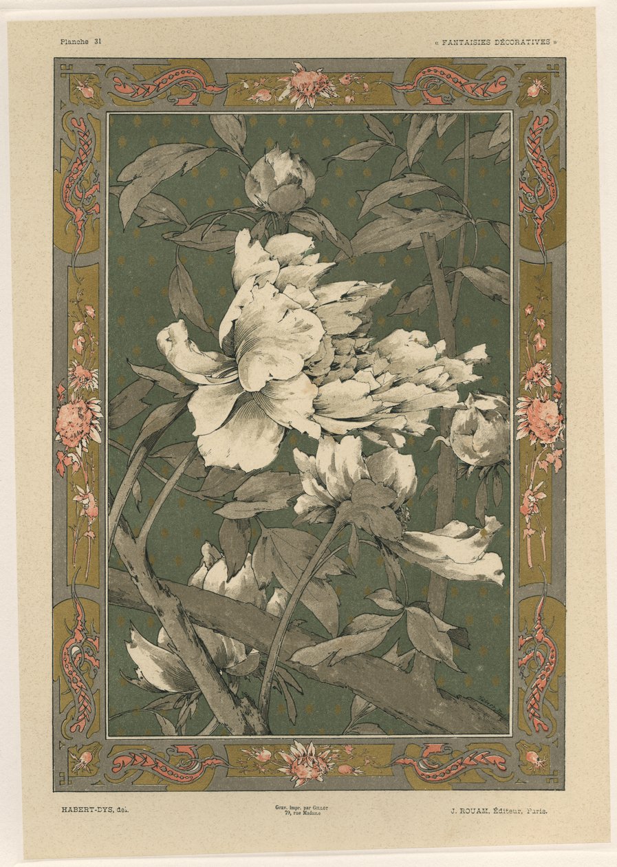 Fiori, tavola 31 da 