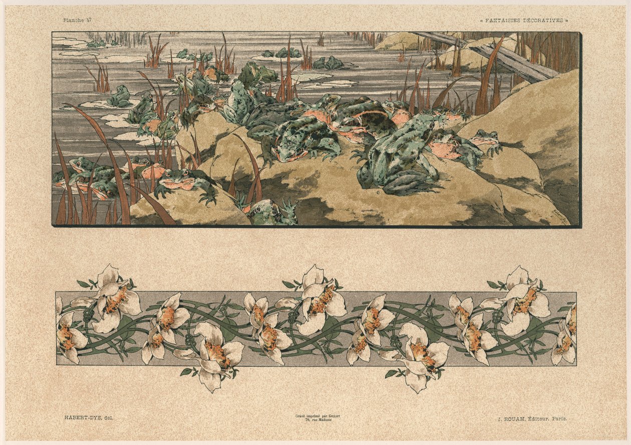 Rane e fiori, tavola 47 da 