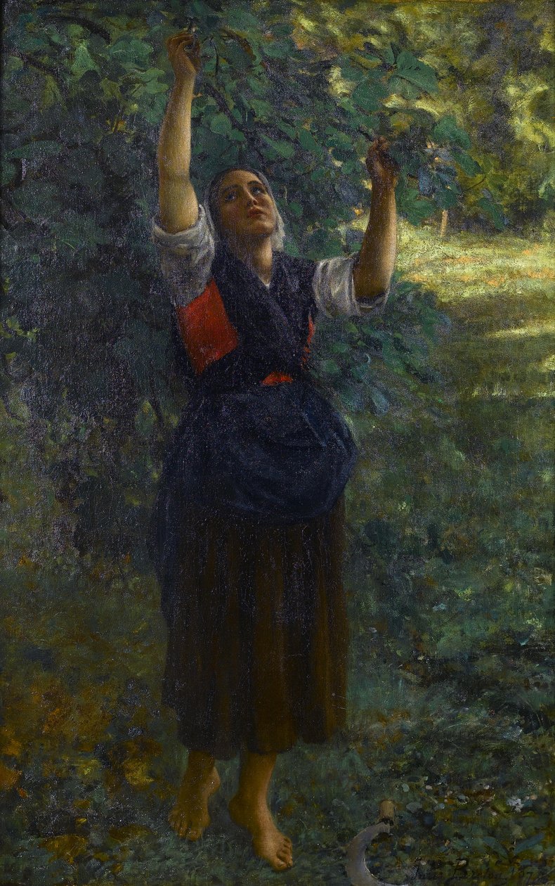 Francese: Cueilleuse de figues da Jules Breton