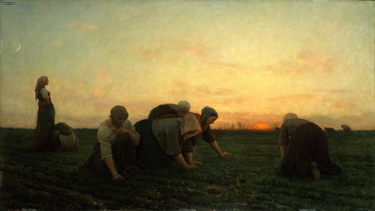 Francese: Les Bineuses / Les Sarcleuses I Diserbatori da Jules Breton