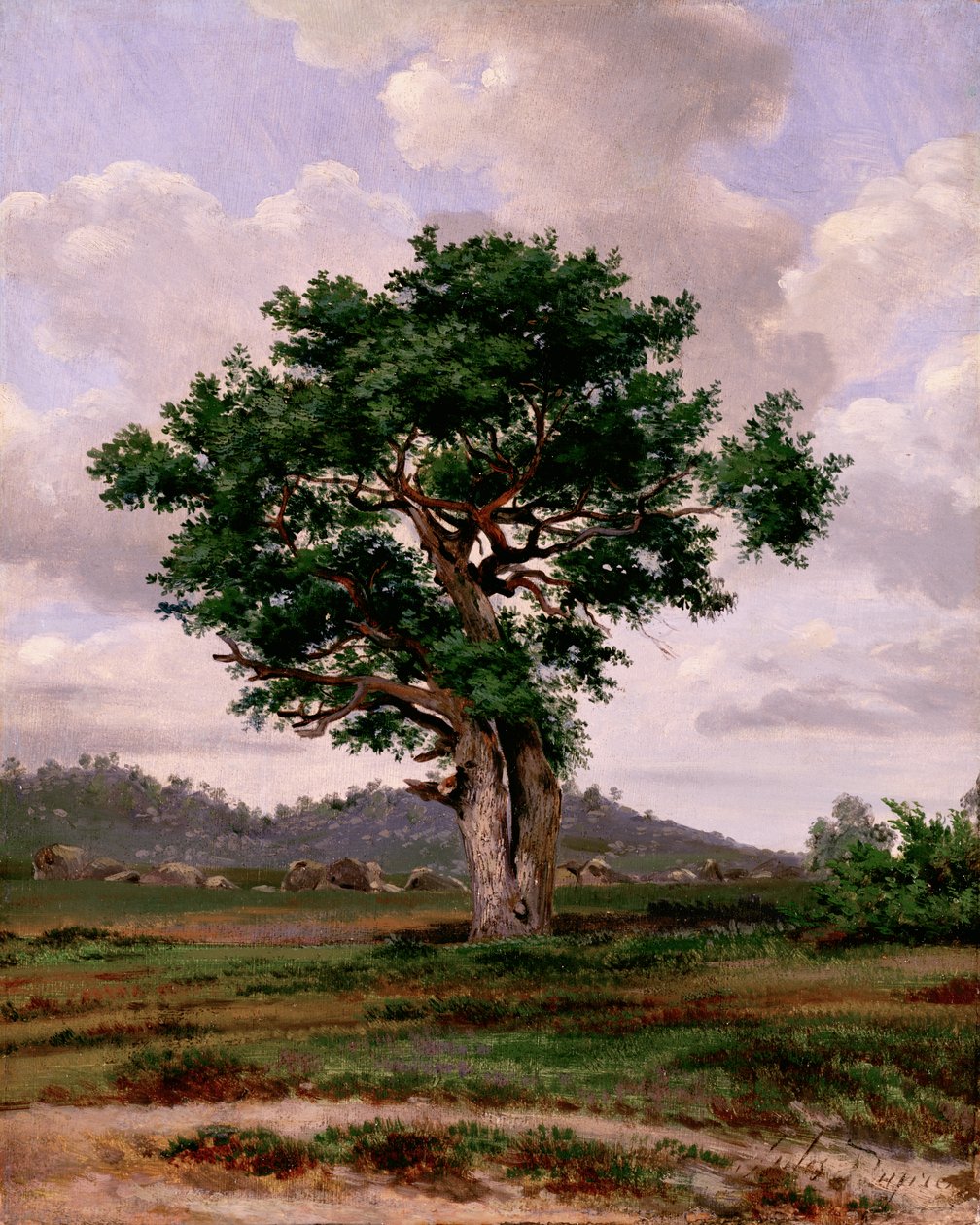 Le Rageur (il collerico) da Jules Dupré