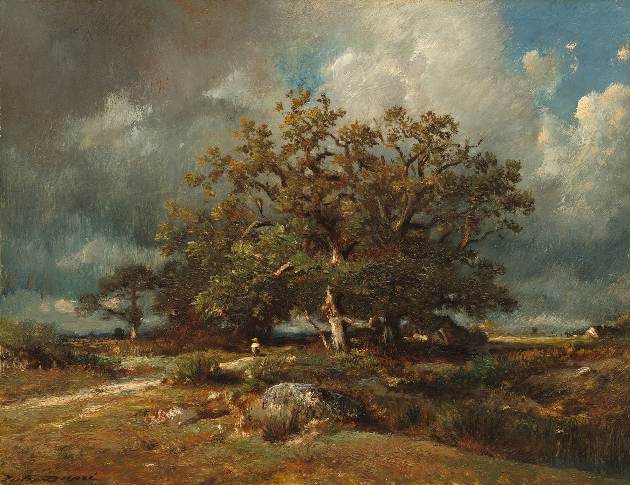 La vecchia quercia da Jules Dupré