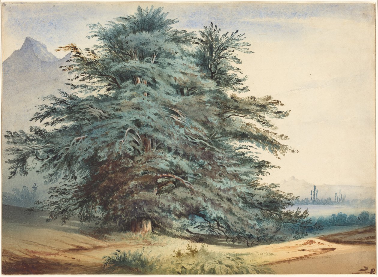 Due antichi alberi davanti a una cima montuosa da Jules Dupré