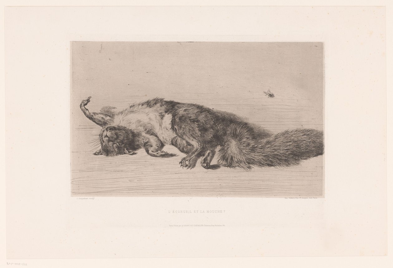 Scoiattolo morto e mosca da Jules Ferdinand Jacquemart