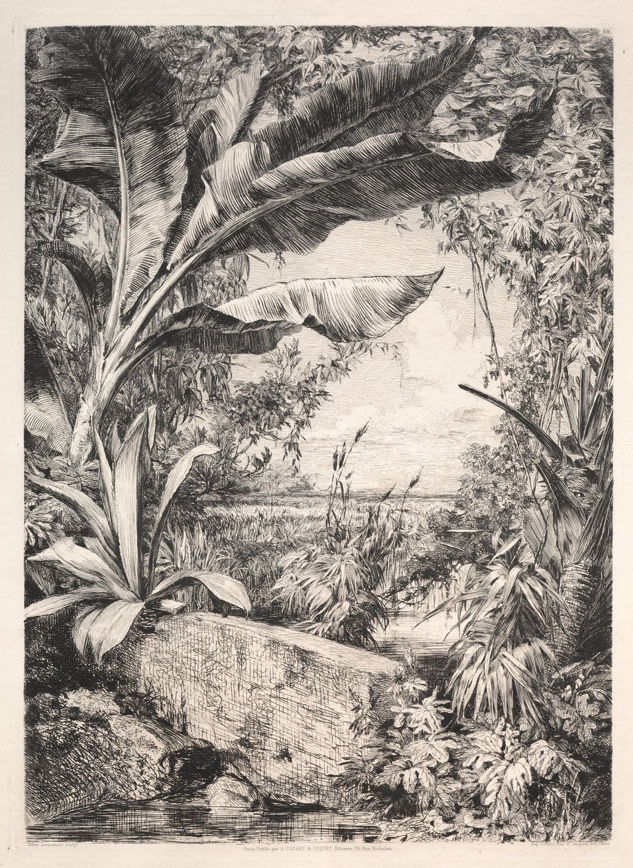 Piante della serra, 1872 da Jules Ferdinand Jacquemart