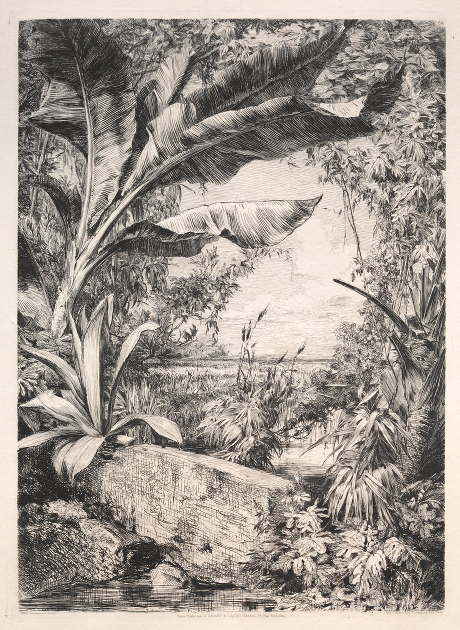 Piante della serra da Jules Jacquemart