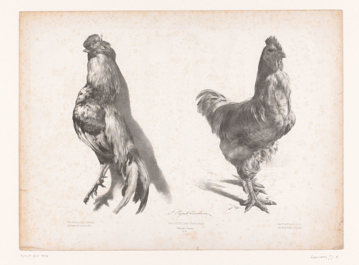 Studio di un pollo morto e uno vivo da Jules Joseph Augustin Laurens