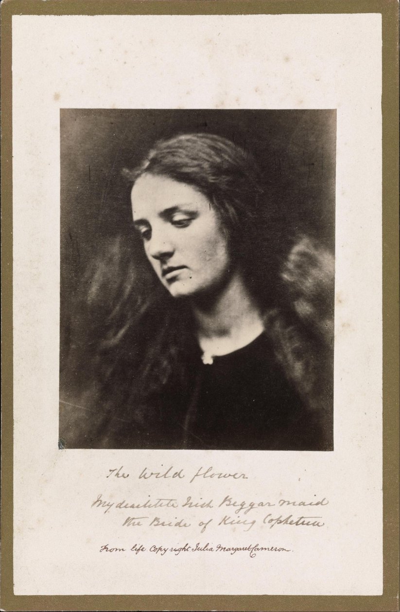 Il fiore selvatico da Julia Margaret Cameron